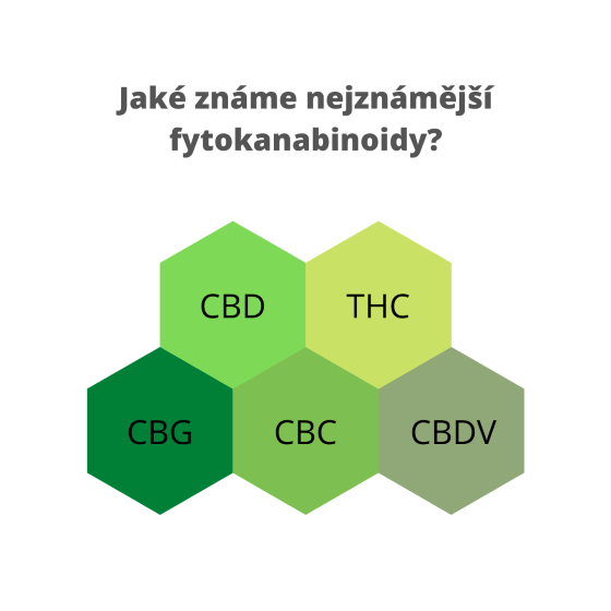 Za účinky konopí stojí stovky účinných látek v něm - včetně fytokanabinoidů